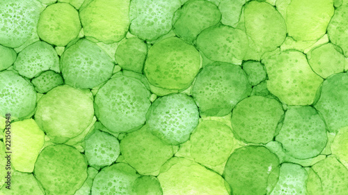 Abstract watercolor circles in green shades