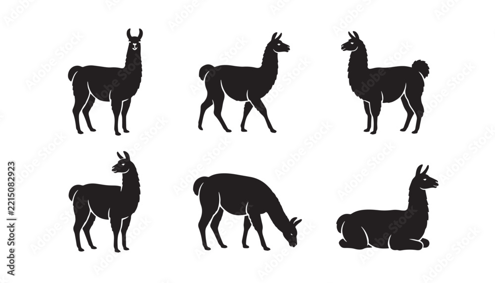 Fototapeta premium black color silhouette set of six Llama vector illustration, solid white background