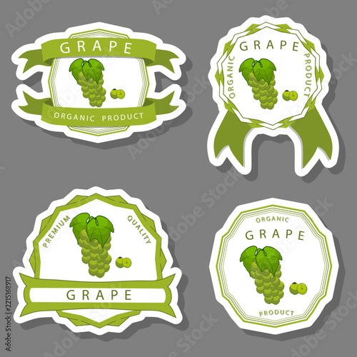 Berry theme from set juicy delicious grape of various sizes