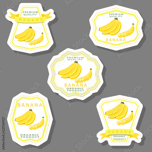 Fruit theme from set juicy delicious banana of various sizes
