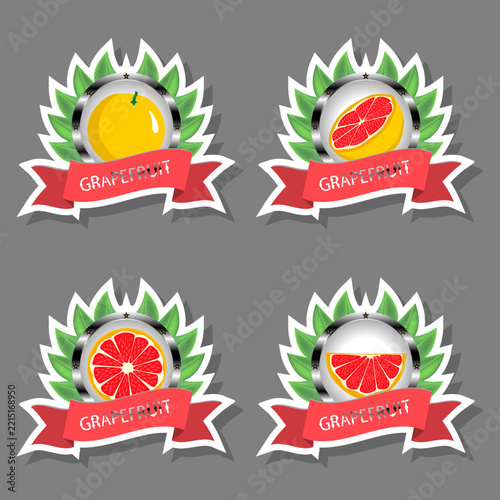 Fruit theme from set juicy delicious grapefruit of various sizes