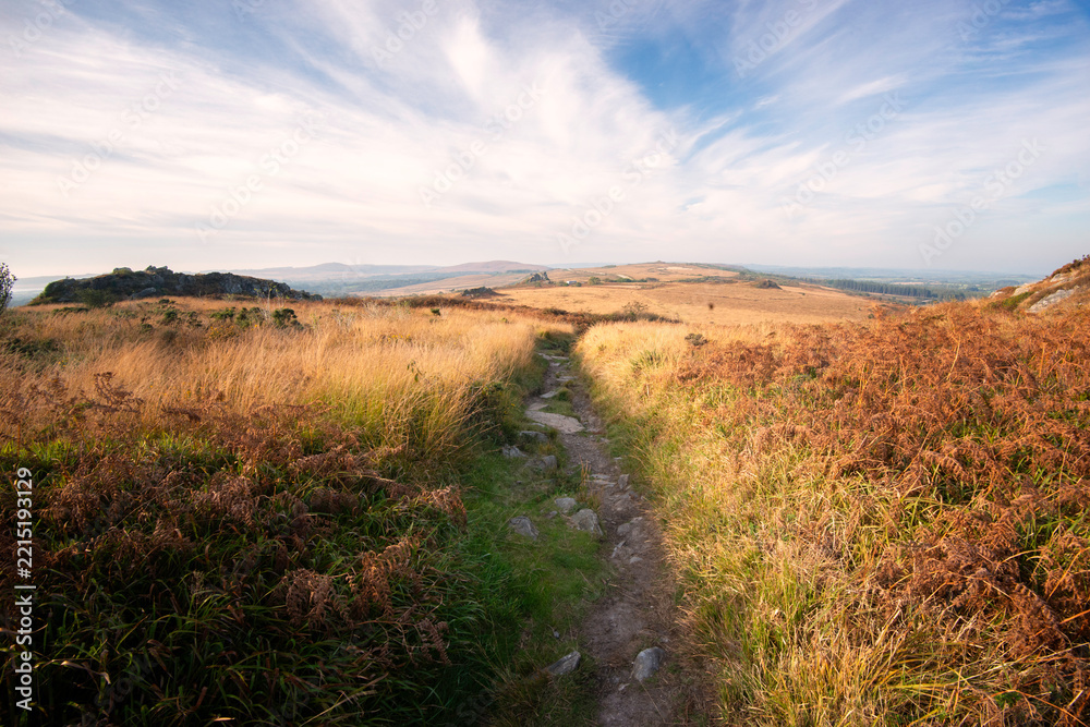Fototapeta premium Chemin de randonnée traversant les Monts d'Arrée dans le Finistère en région Bretagne, secteur du Roc'h Trevezel