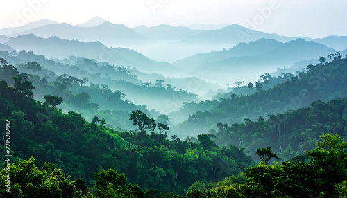 Misty Mountain Range Covered in Lush Green Tropical Rainforest With Fog Rolling Through Valleys