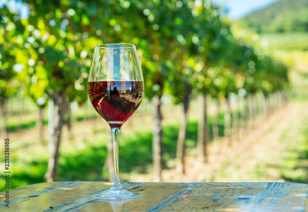 Fototapeta premium Glass of red wine placed on wooden table in green vineyard