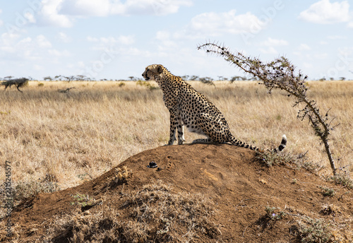 Searching