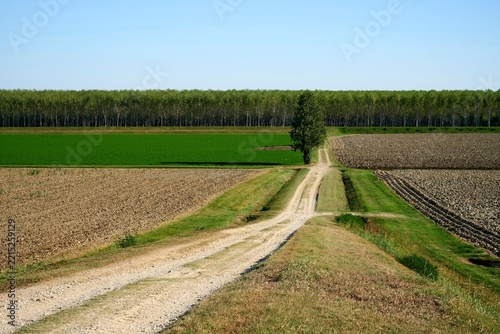 paesaggio golena