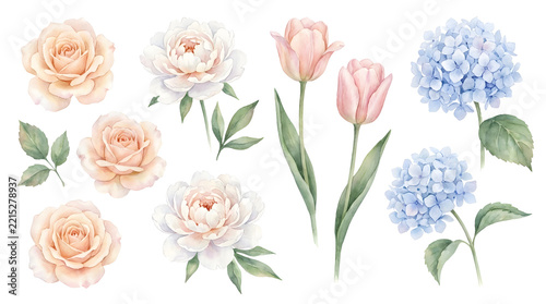 Watercolor Botanical and Floral Clipart Collection featuring Wildflowers, Garden Roses, Wreaths, and Leafy Foliage Arrangements on Isolated White Background for Spring Wedding Invitations,Greeting Ca