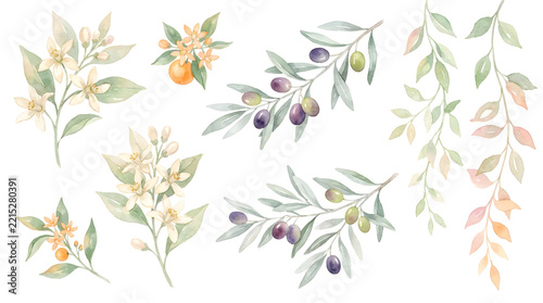 Watercolor Botanical and Floral Clipart Collection featuring Wildflowers, Garden Roses, Wreaths, and Leafy Foliage Arrangements on Isolated White Background for Spring Wedding Invitations,Greeting Ca