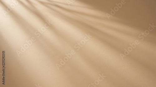 Minimalist beige background with soft sunlight palm leaf shadow