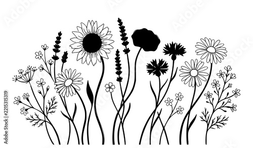 Summer Blooming Flowers Vector Collection with Colorful Botanical Garden Blossoms