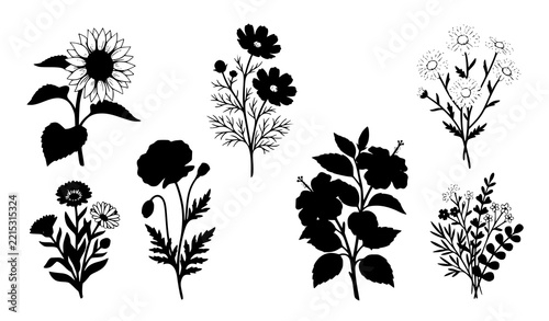 Hand Drawn Summer Meadow Flowers Vector Illustration with Wild Botanical Blossoms
