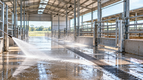 Livestock disease prevention in clean barn with water spray and wet floor