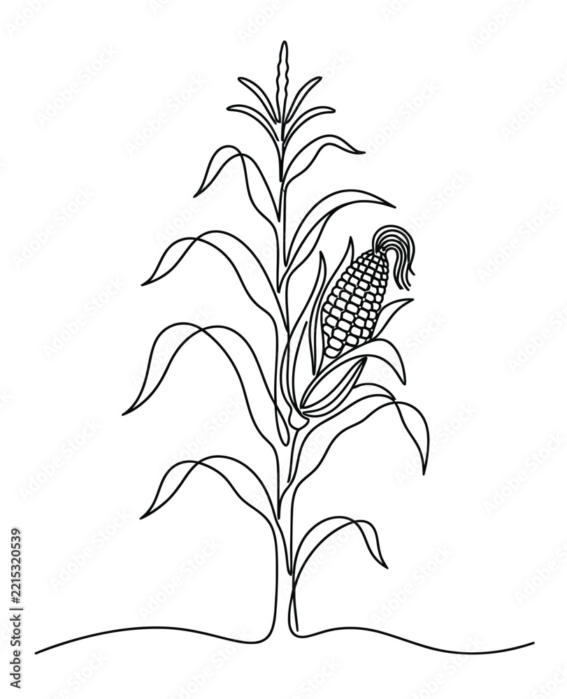 Naklejka premium Minimalist continuous line art corn stalk, maize plant vector illustration, black and white agricultural crop icon for harvest logo design