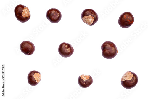 Horse Chestnut / Conker - Isolated on White