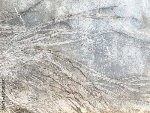 Natural ivy root marks on grey concrete wall