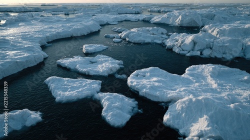 Arctic Ocean Vista: Jagged ice floes drift serenely on the frigid, dark waters of the Arctic Ocean under a pale, expansive sky, painting a stark picture of polar beauty.