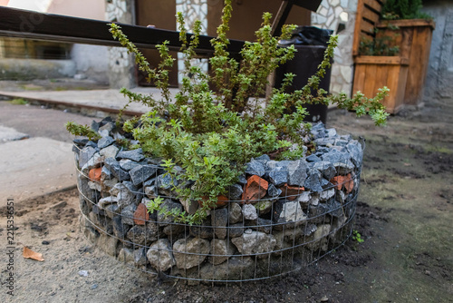 Obraz na plátně Urban gardening feature using a stone-filled gabion planter and lush greenery to beautify public space beside a park bench