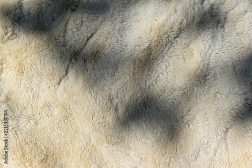  Shadow of tree branches on a white fur texture background.