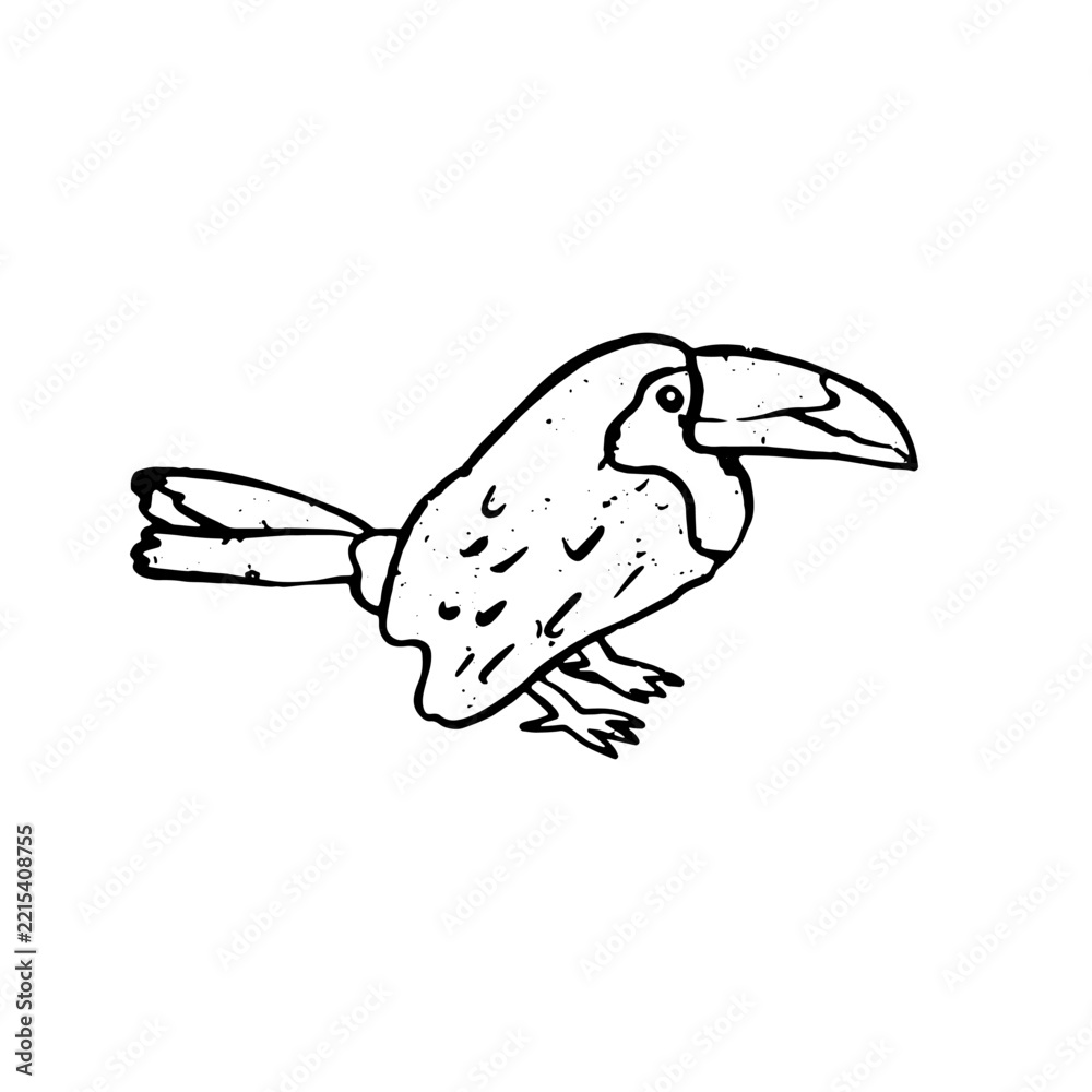 Fototapeta premium Textured black and white vector illustration of isolated tropical toucan bird. Hand drawn monochrme exotic wildlife sticker graphic