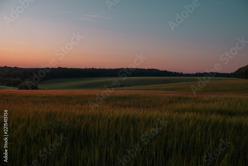 Tranquil agricultural field under colorful sunset sky with dark forest line on horizon
