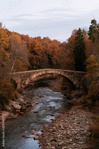 Stone Arch Bridge Over River in Autumn Forest