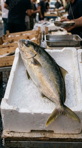 Fresh Amberjack Fish on Ice Display at Outdoor Market Stall