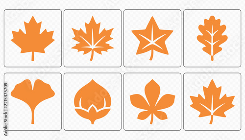 Fall Leaves Acorn Mushroom and Nature Icon Collection