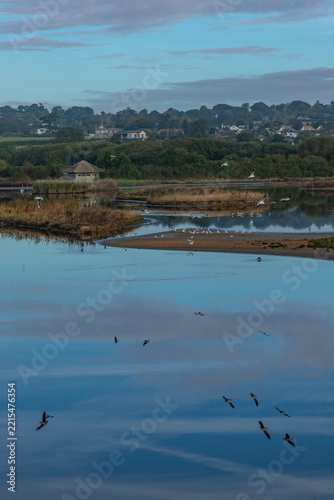 Seaton Wetlands Nature Reserve in Devon
