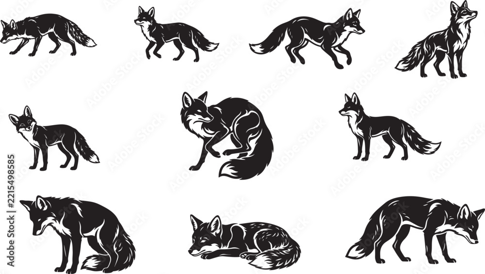 Obraz premium Foxes vector illustration set for wildlife branding and editorial use