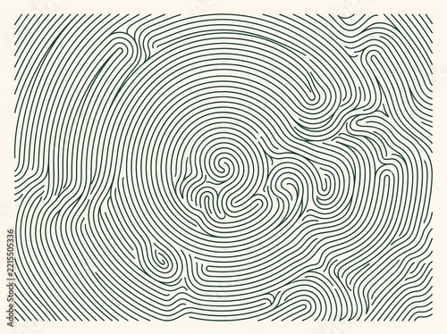 A mesmerizing abstract pattern featuring intricate flowing lines that create a hypnotic maze like effect with organic curves and concentric shapes in a minimalist style.
