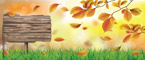 Autumn Beech Foliage Sunlights Grass Wooden Sign