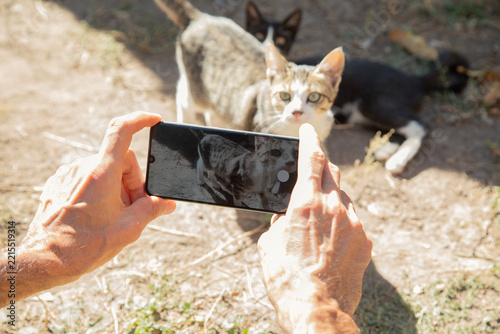 Canvas Print Man with a mobile taking picture a cat.
