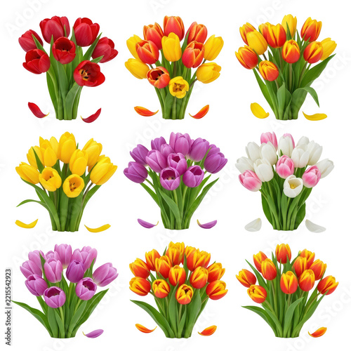 Set of colorful tulip flower bouquets isolated on white