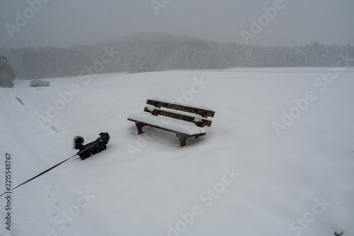 A dog runs in deep snow while it is snowing.