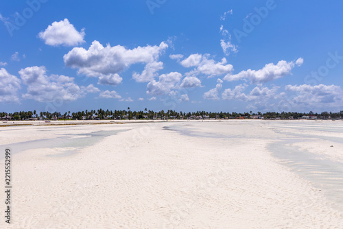 Wide view of a white sand tidal flat at low tide with shallow pools under a blue sky with white clouds and a distant line of palm trees and beach houses, Jambiani, Tanzania
