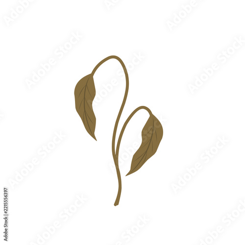 Illustration of wilted leaves. Vector of wilted plant. Environmental damage. Design of wilted plant. Element of wilted leaves. Illustration of wilted plants due to lack of water and care. Duan withere
