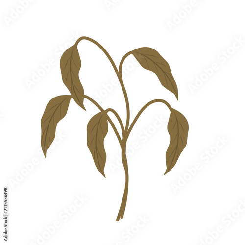Illustration of wilted leaves. Vector of wilted plant. Environmental damage. Design of wilted plant. Element of wilted leaves. Illustration of wilted plants due to lack of water and care. Duan withere
