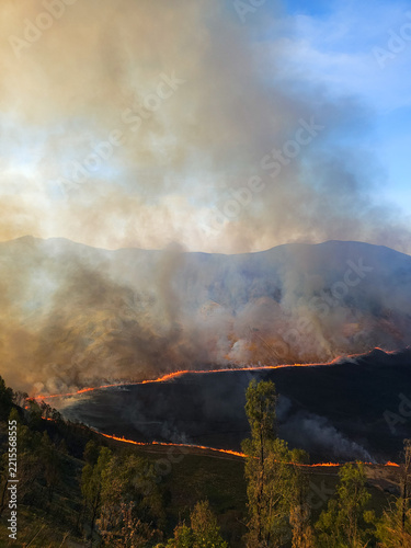 Fotografie Mount shasta wilderness engulfed in forest fire, with orange flames, smoke, charred earth, and bright sky
