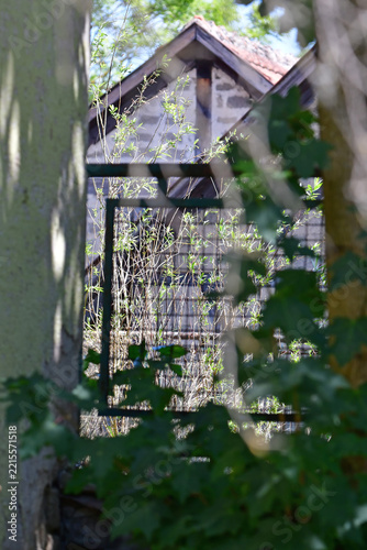 old abandonned house hidden behind green
