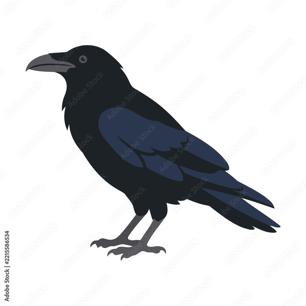 Fototapeta premium Black raven bird silhouette standing in profile Vector