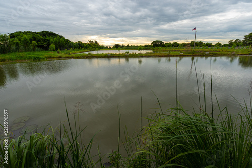 Tall grass beside the wide pond, and dark clouds at dusk