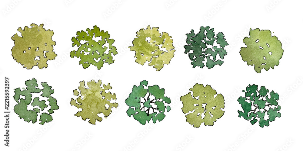 Tree Plan In Graphics Set of watercolor trees in plan view for use in architectural drawings ...