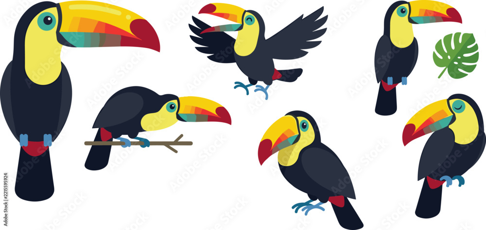 Fototapeta premium Cute Toucan Bird Cartoon Character Set with Colorful Beaks Flying Perching on Branch and Monstera Leaf for Tropical Jungle Vector Graphic Designs