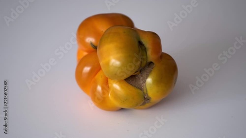A deformed, imperfect vegetable with a natural shape, a yellow tomato, rotates on a white background. The concept of healthy eating, farm products, imperfection, and natural agriculture.