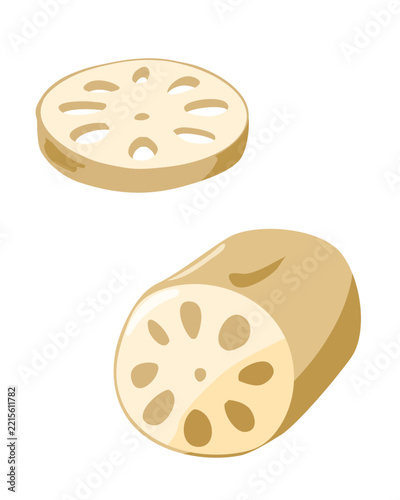 蓮根のイラスト