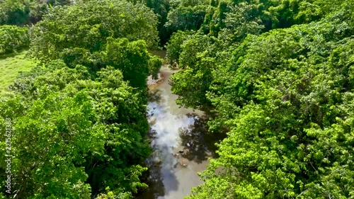 Aerial view of the summer landscape of a deep green valley overlooking a river. Lush tropical forests line the riverbanks, surrounded by hills. Wilderness landscape, drone view.