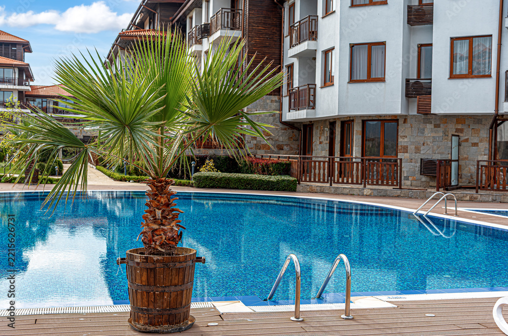 Fototapeta premium A small palm tree in a wooden pot stands next to a blue swimming pool in front of a modern hotel complex.