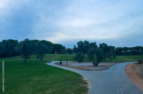  green golf course landscape with mature trees 