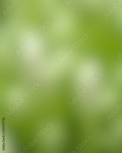 Abstract gradient green and white background from flower for relaxing, environmental, calm, bright, colorful, fresh
