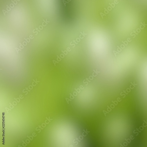 Abstract gradient green and white background from flower for relaxing, environmental, calm, bright, colorful, fresh